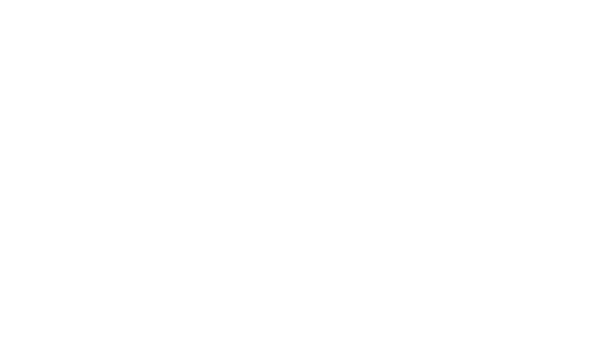 the dinton hermit logo